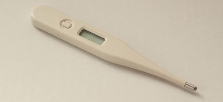 田町の古今が息づく街並みと進化する地域医療のきめ細やかな安心